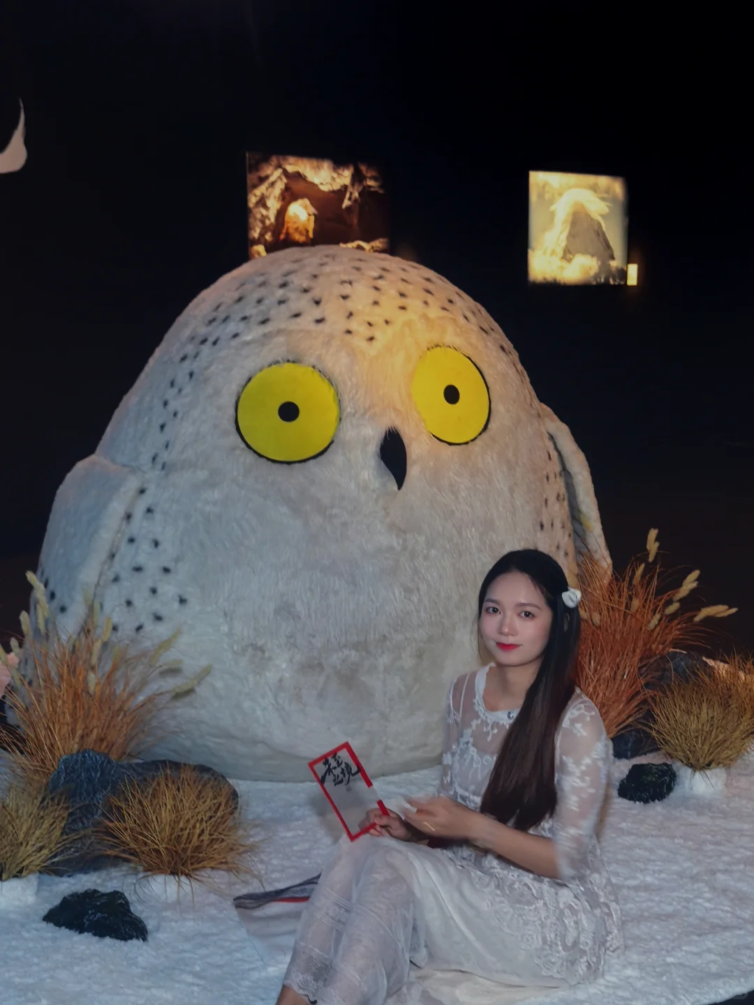 佛山新展?️国家地理的展会可以永远相信