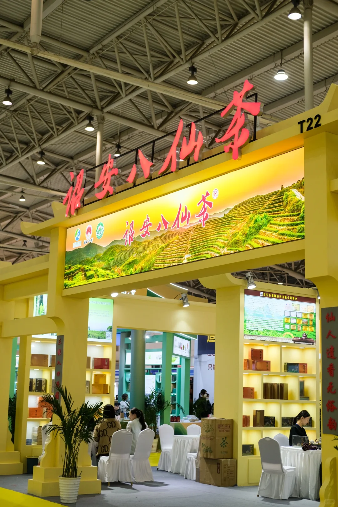 原来茶博会这么有意思啊，后悔没早点去