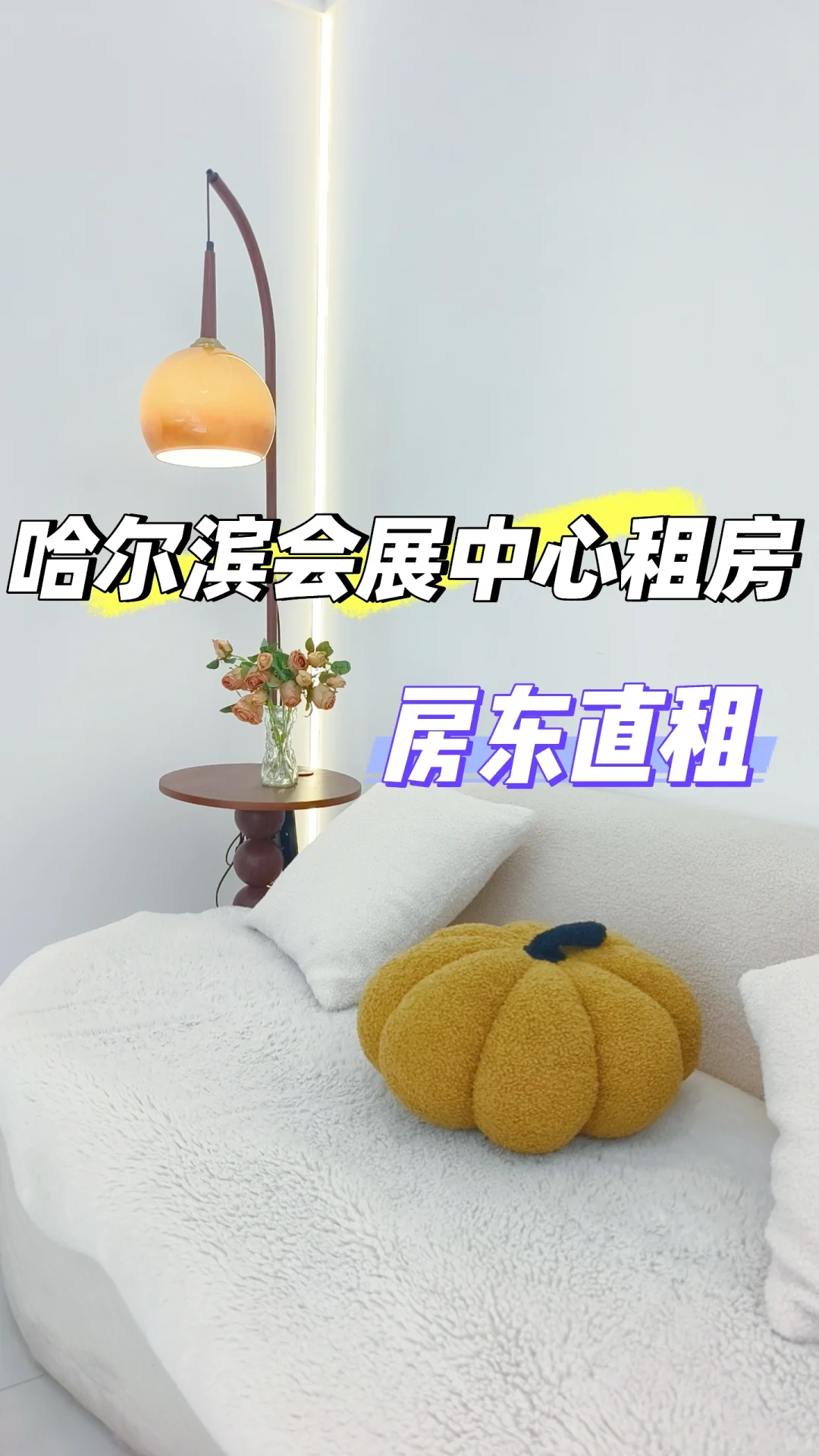 哈尔滨会展中心卢浮宫附近租房看过来