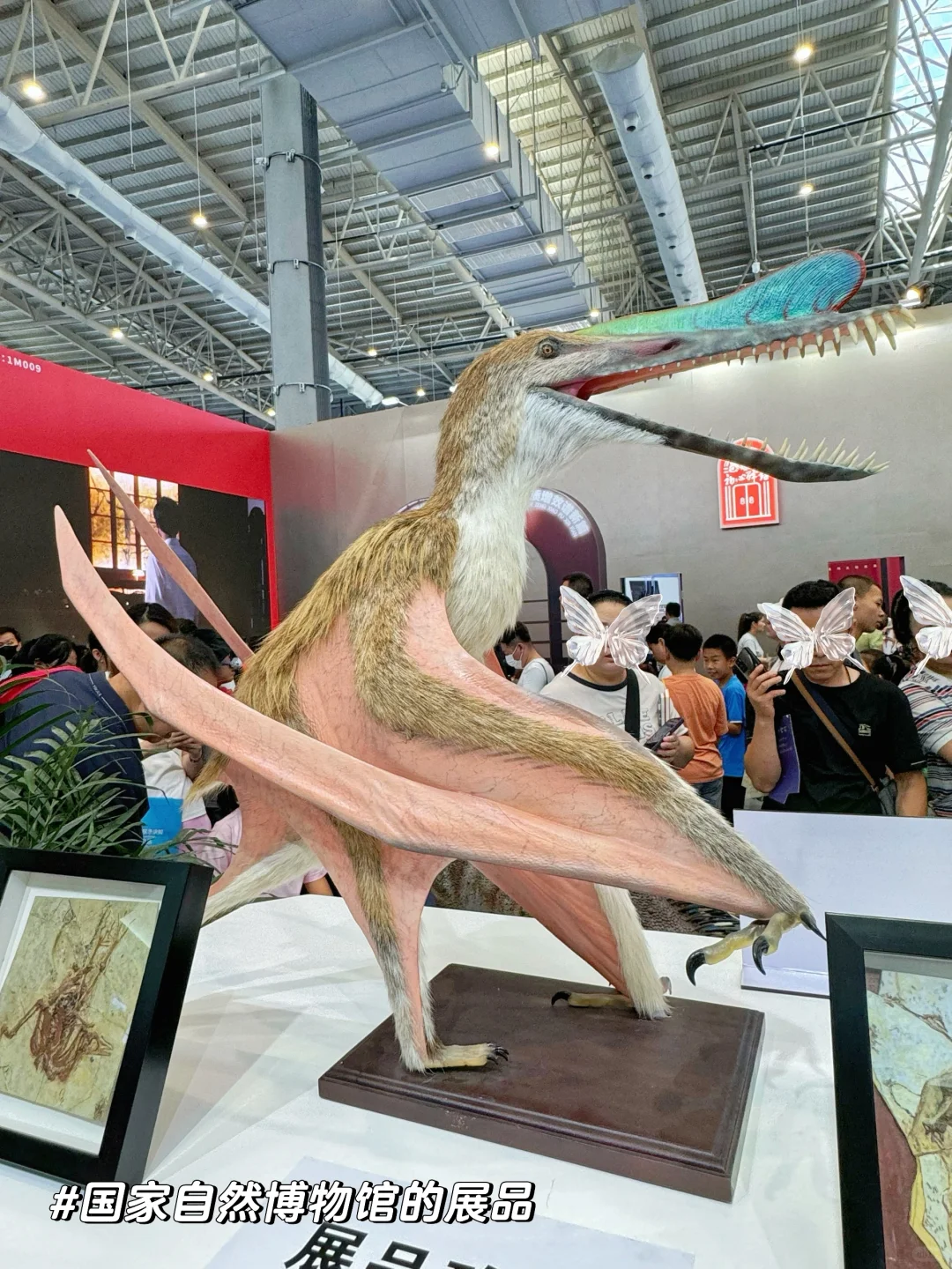 呼和浩特｜博博会参观指南｜少走弯路！