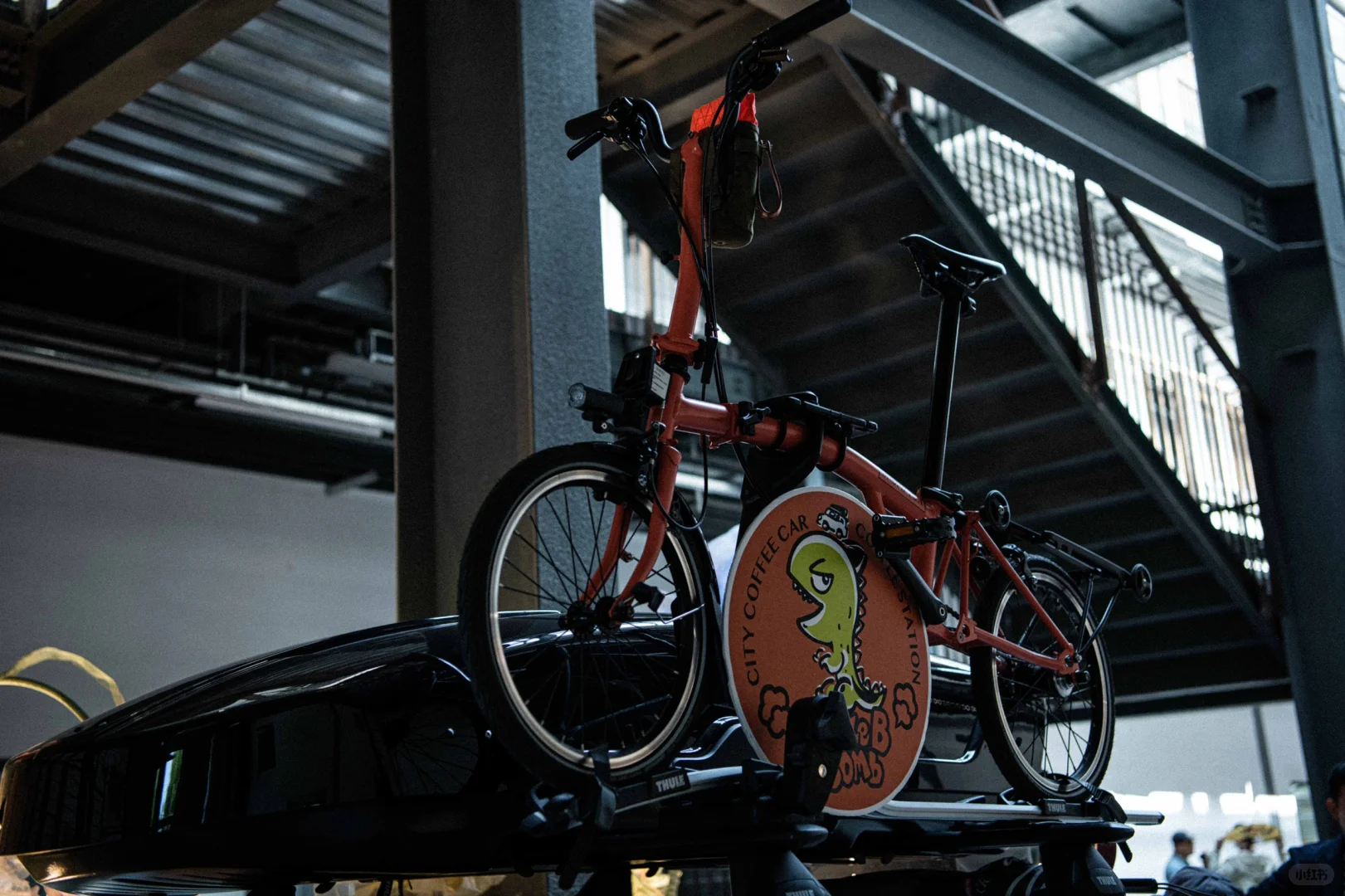 万物可循,精彩不散场