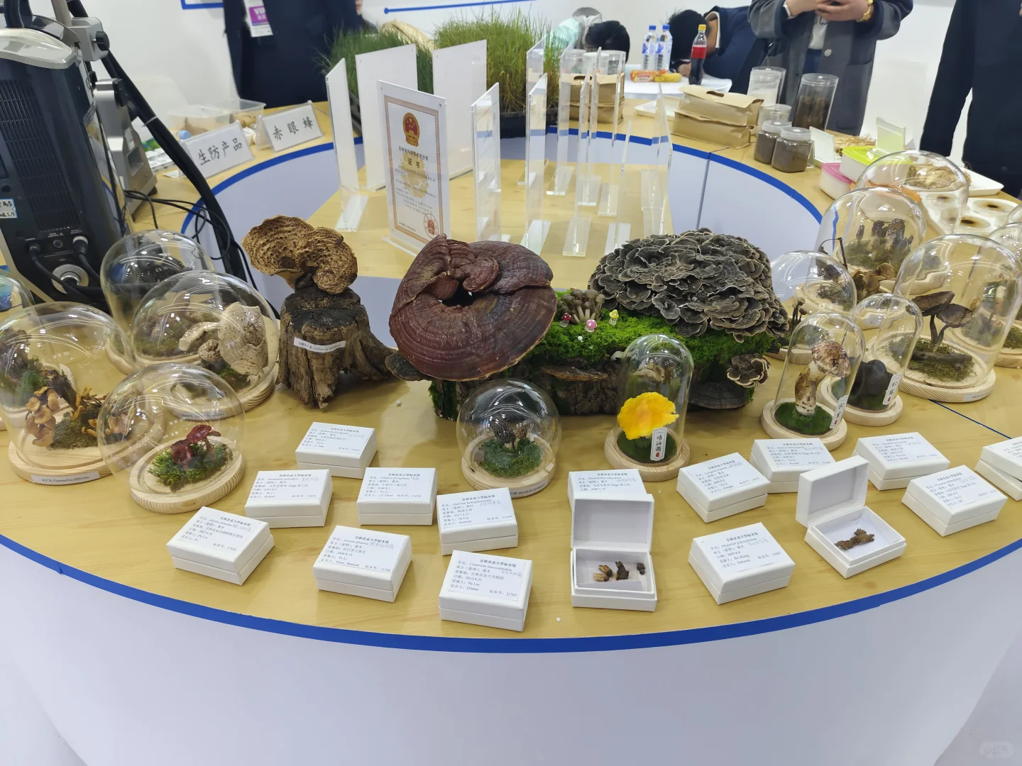 第六十三届高等教育博览会-吉林长春