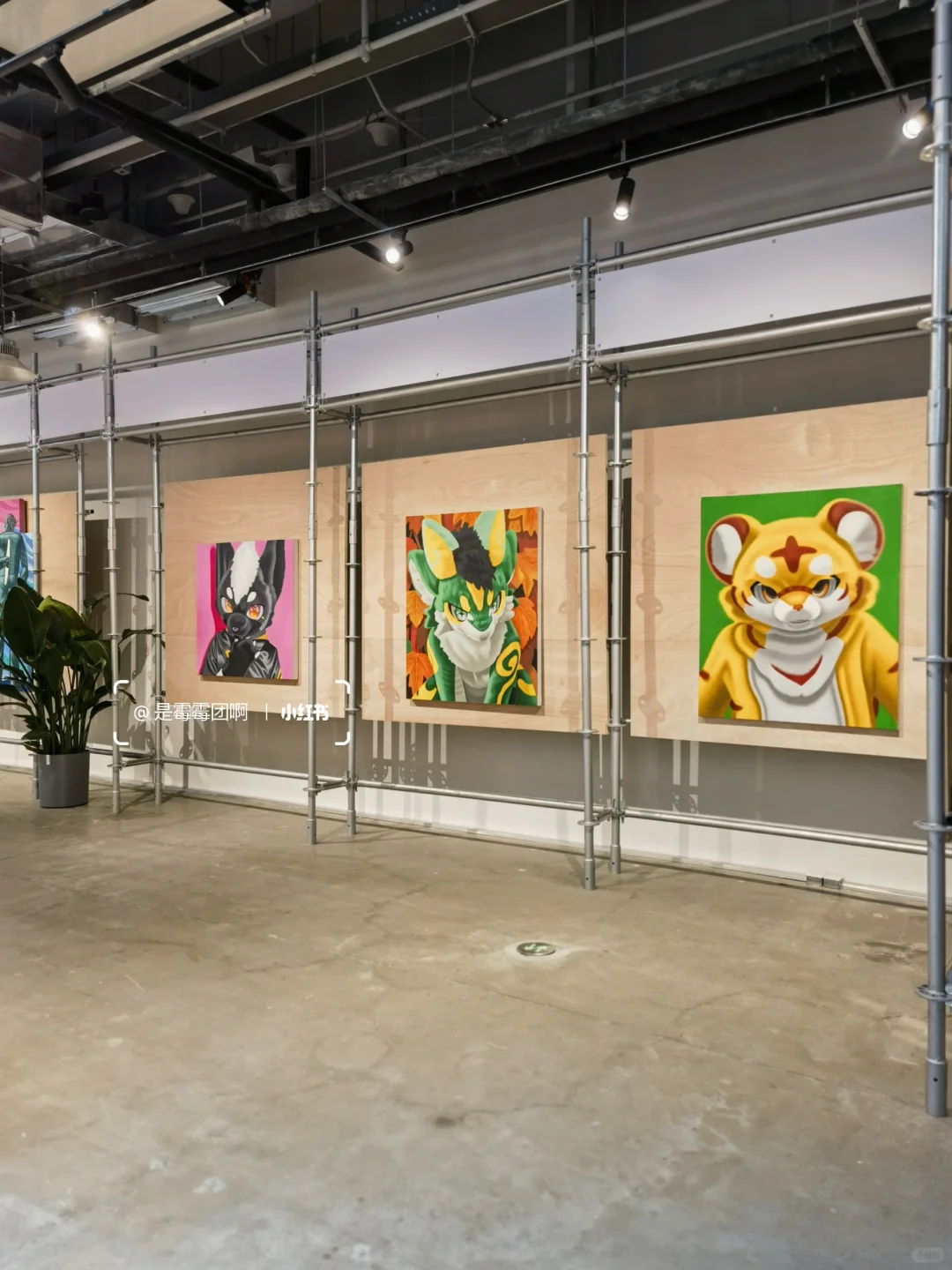 必看新展 | 属于年轻人的当代展！鲨疯啦