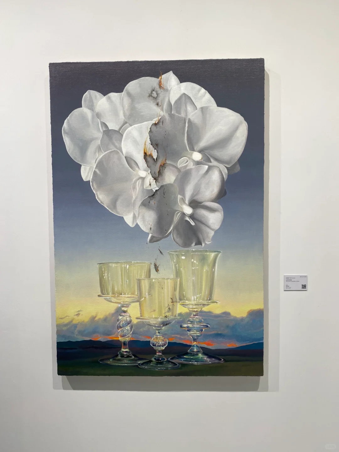 看展日?北京当代艺术博览会2⃣️喜欢的画作
