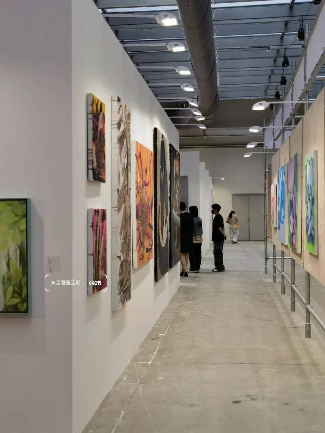 必看新展 | 属于年轻人的当代展！鲨疯啦
