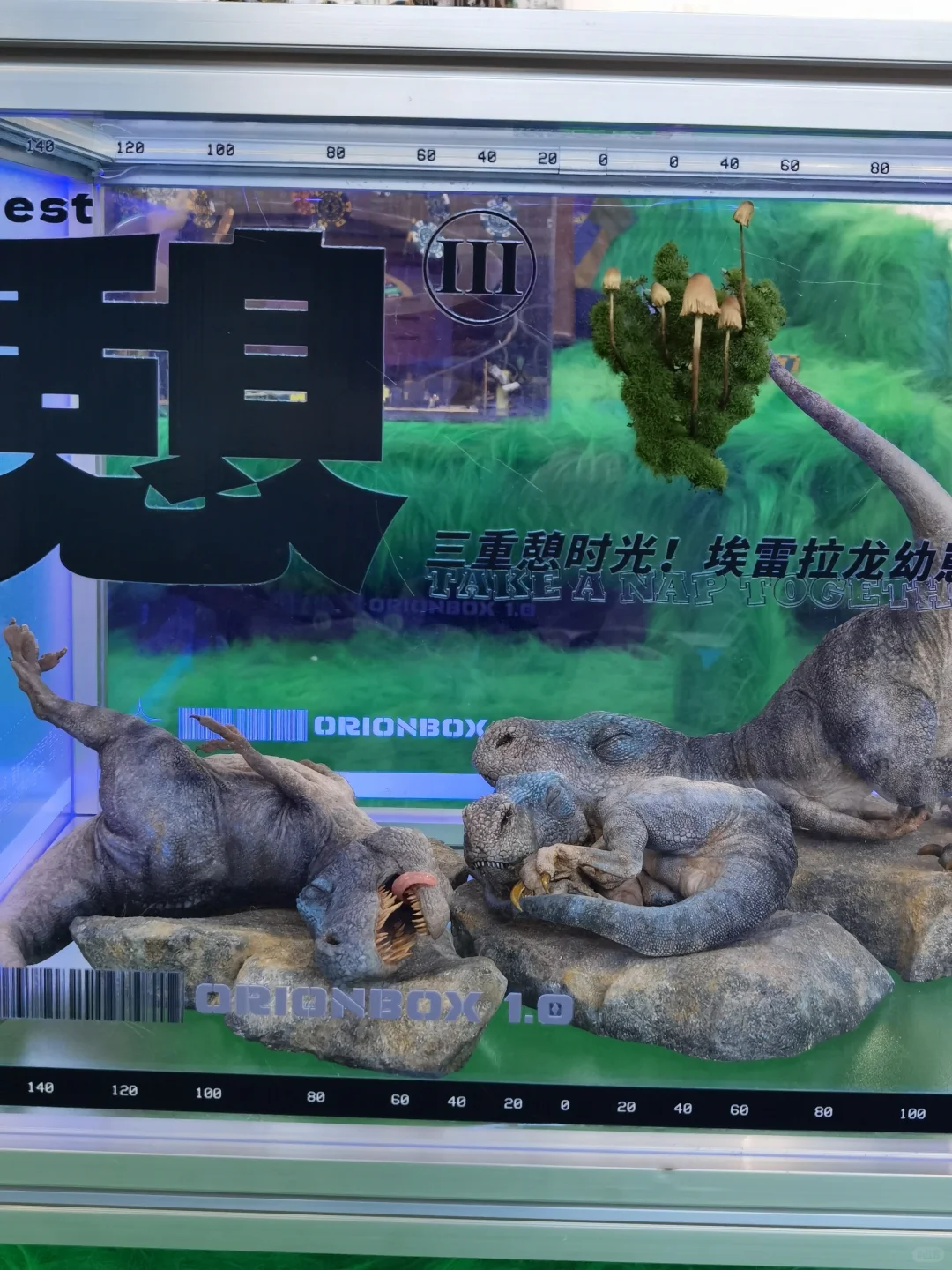 逛