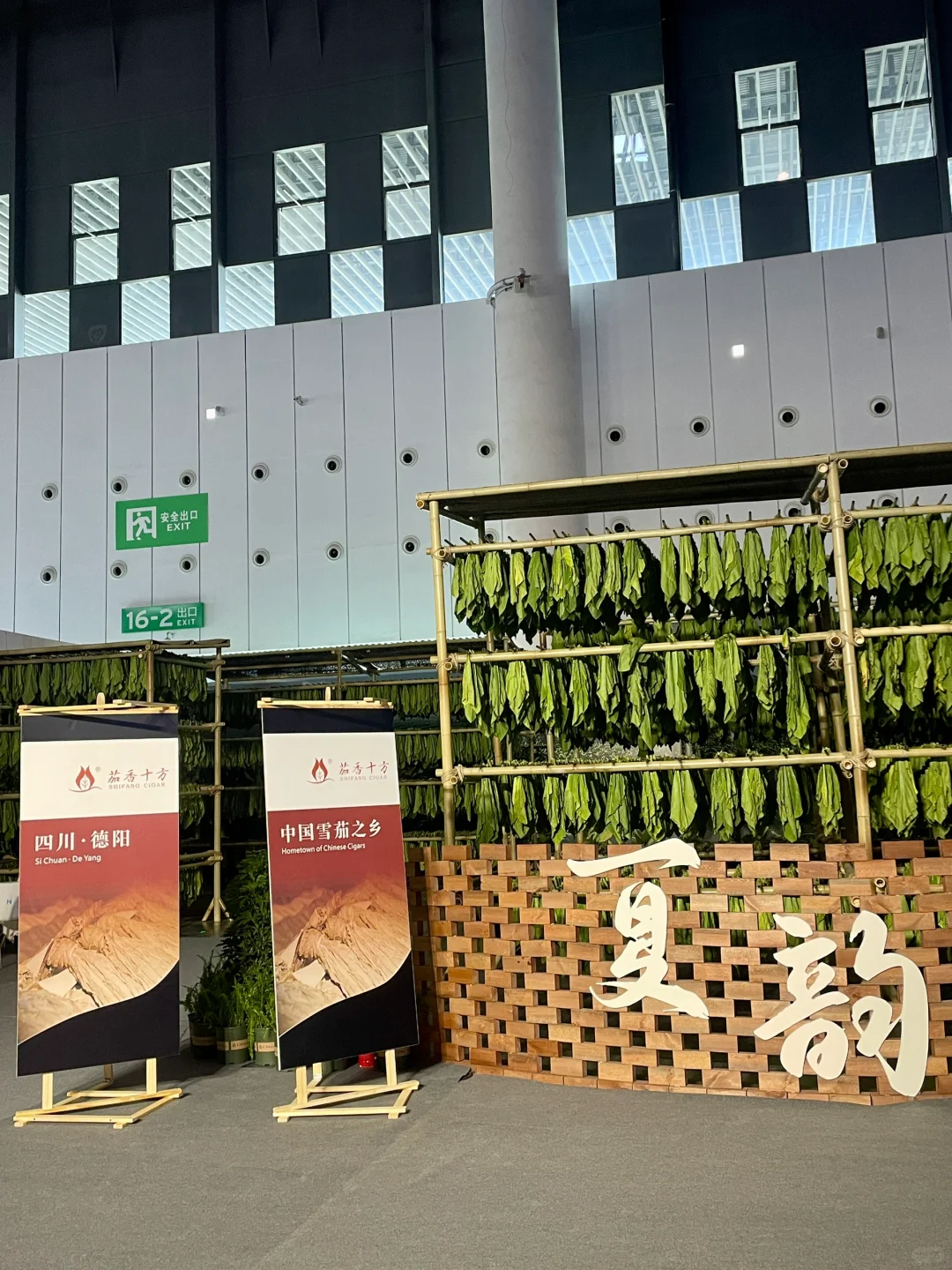 ?第二十届西博会炸场！20万㎡全球盛宴，速来