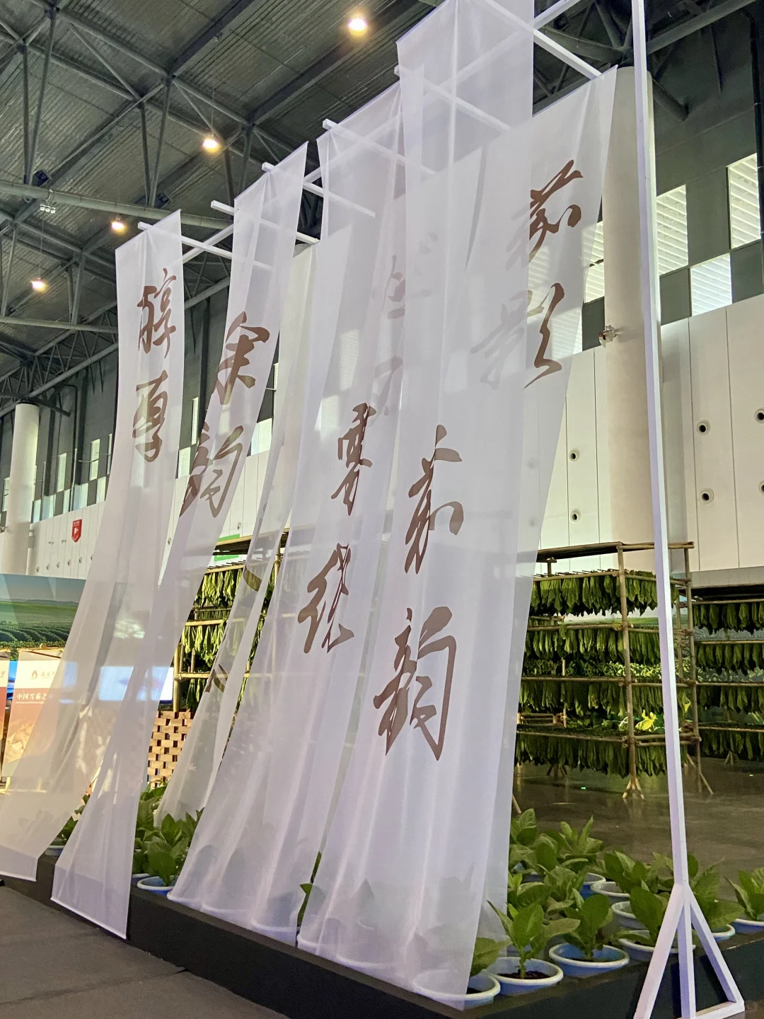 ?第二十届西博会炸场！20万㎡全球盛宴，速来