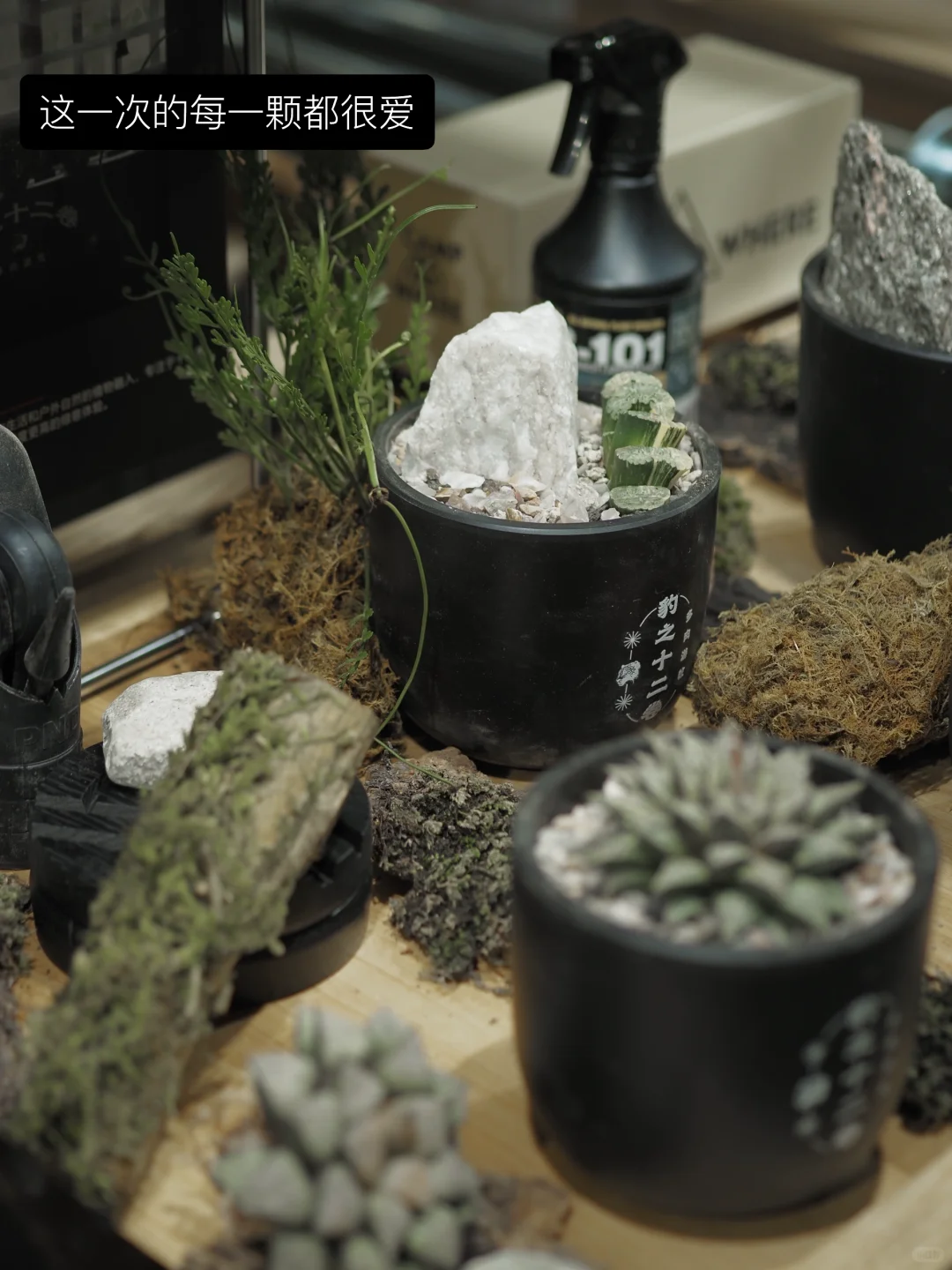 户外展会怎么布展，我们来交个作业