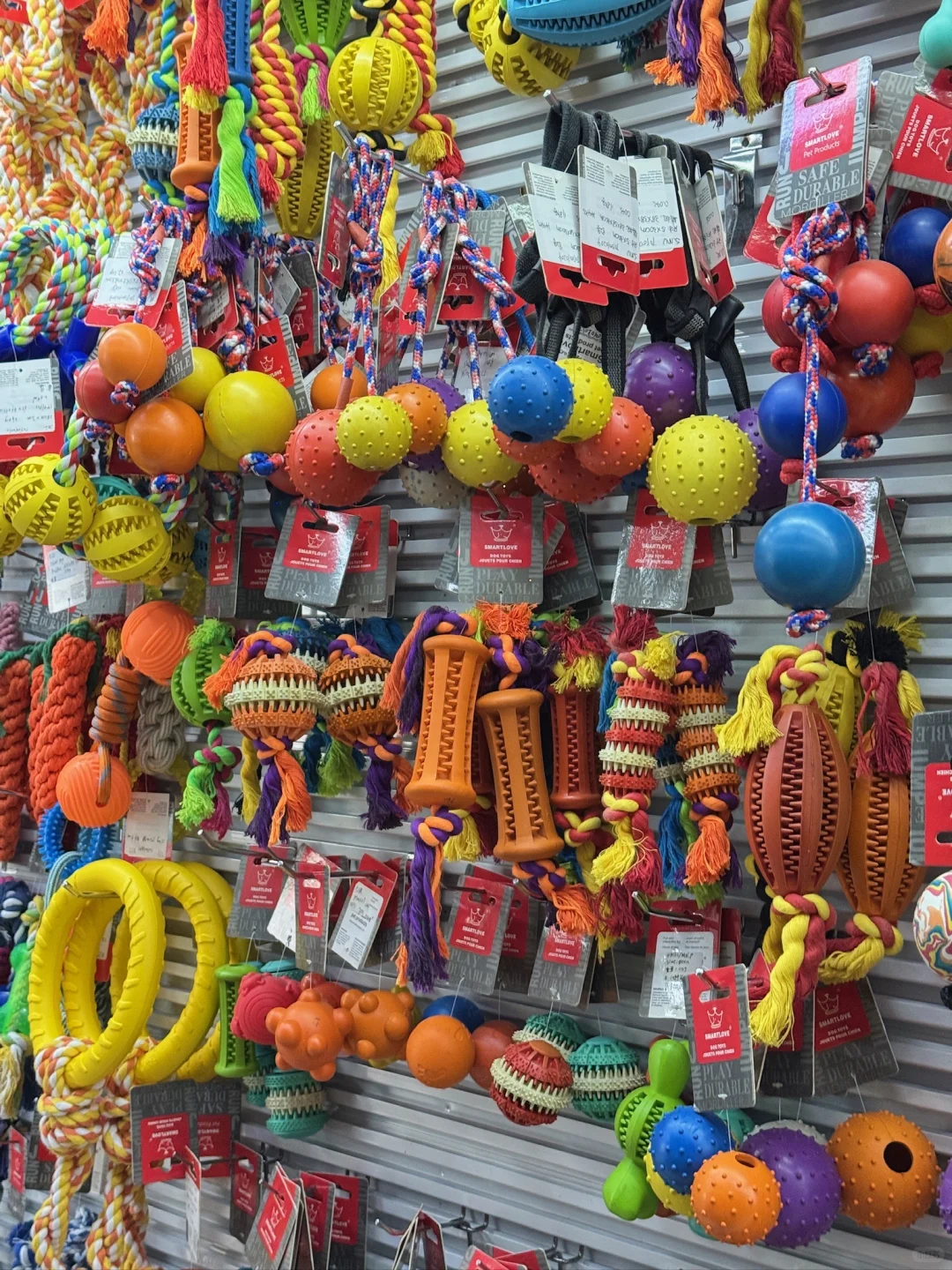 义乌首届首届！！宠物展来啦