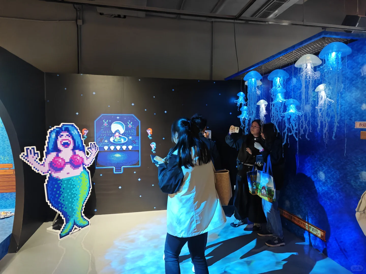 老乡们来展览会了