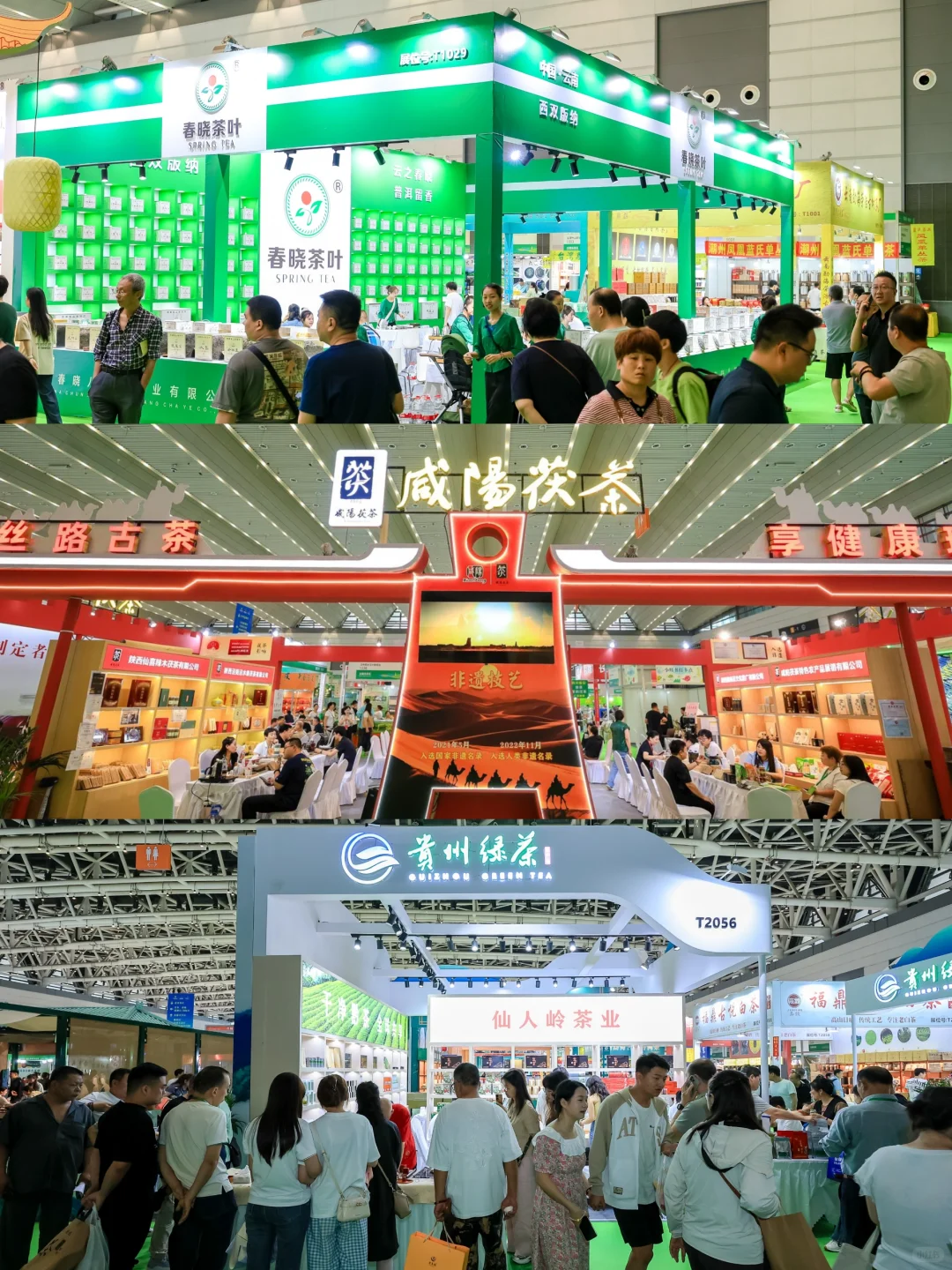 端午节冲啊！西安这个展会可以免费喝茶！