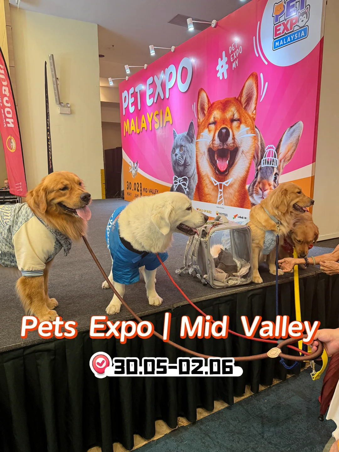 Mid Valley宠物展 2025｜实地打卡体验＋吐槽