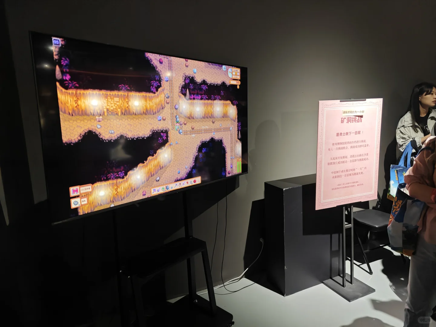 老乡们来展览会了