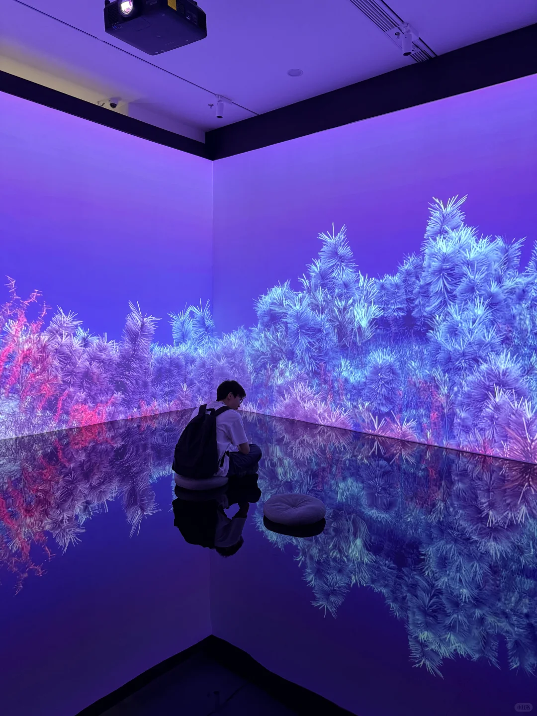 珠海新展｜超有意思的数字艺术展