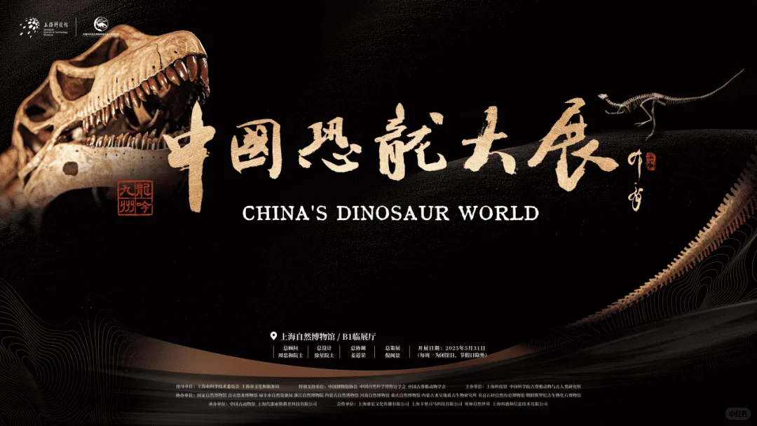 中国恐龙大展5月31日起正式开放→