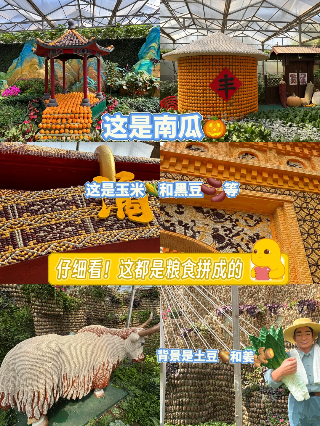 带爸妈去寿光蔬菜博览会啦！?????