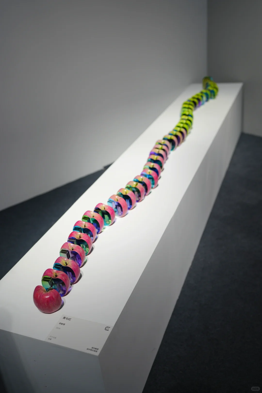 广州看展｜首届湾区当代双年展