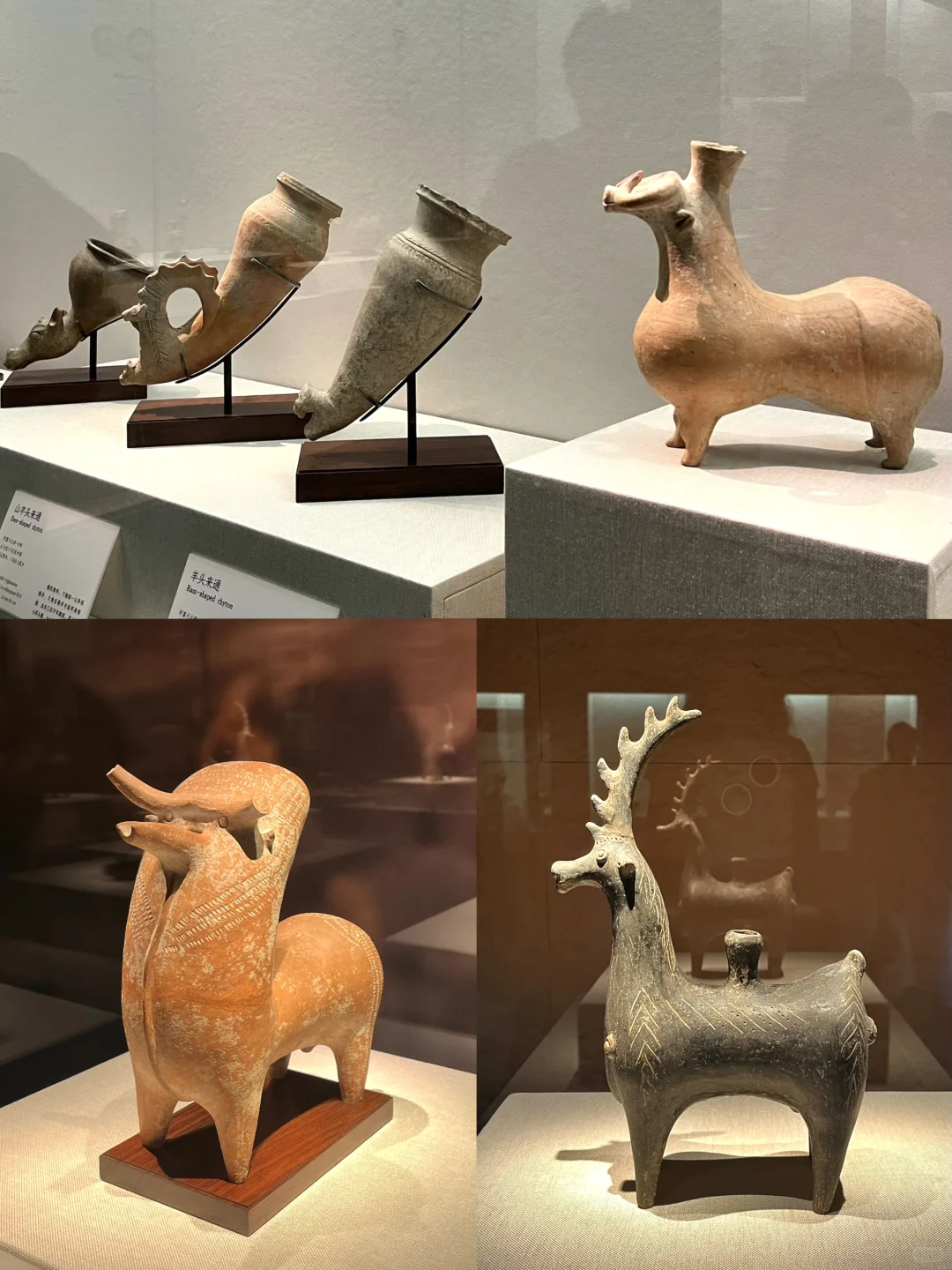深圳新展|萌翻博物馆！网红显眼包来深圳啦?