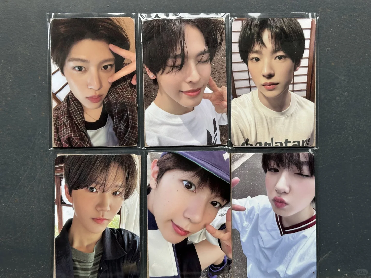 夏日展会二轮 部分实物?