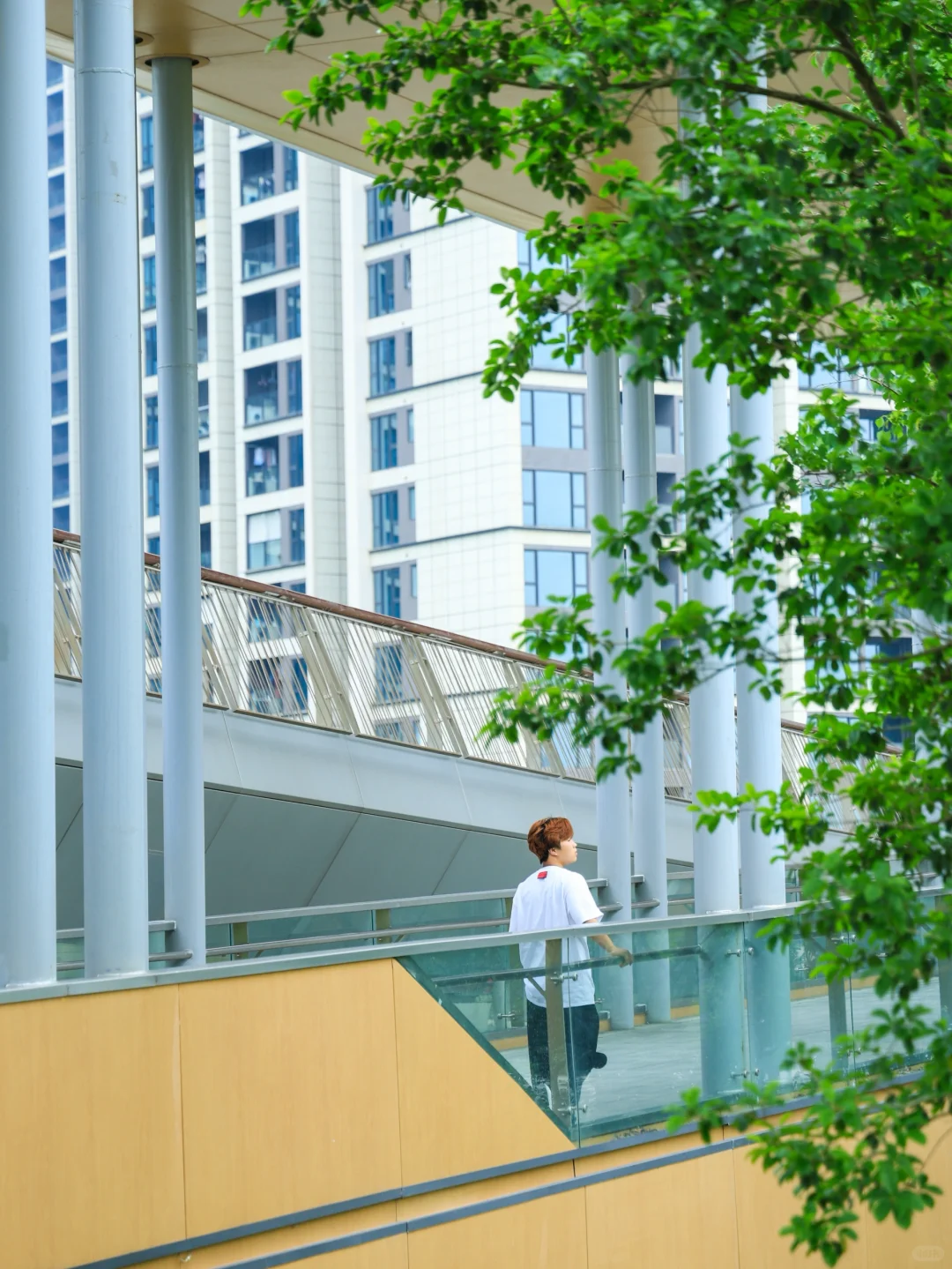 在深圳❗️一个被严重低估的小众公园⛲️