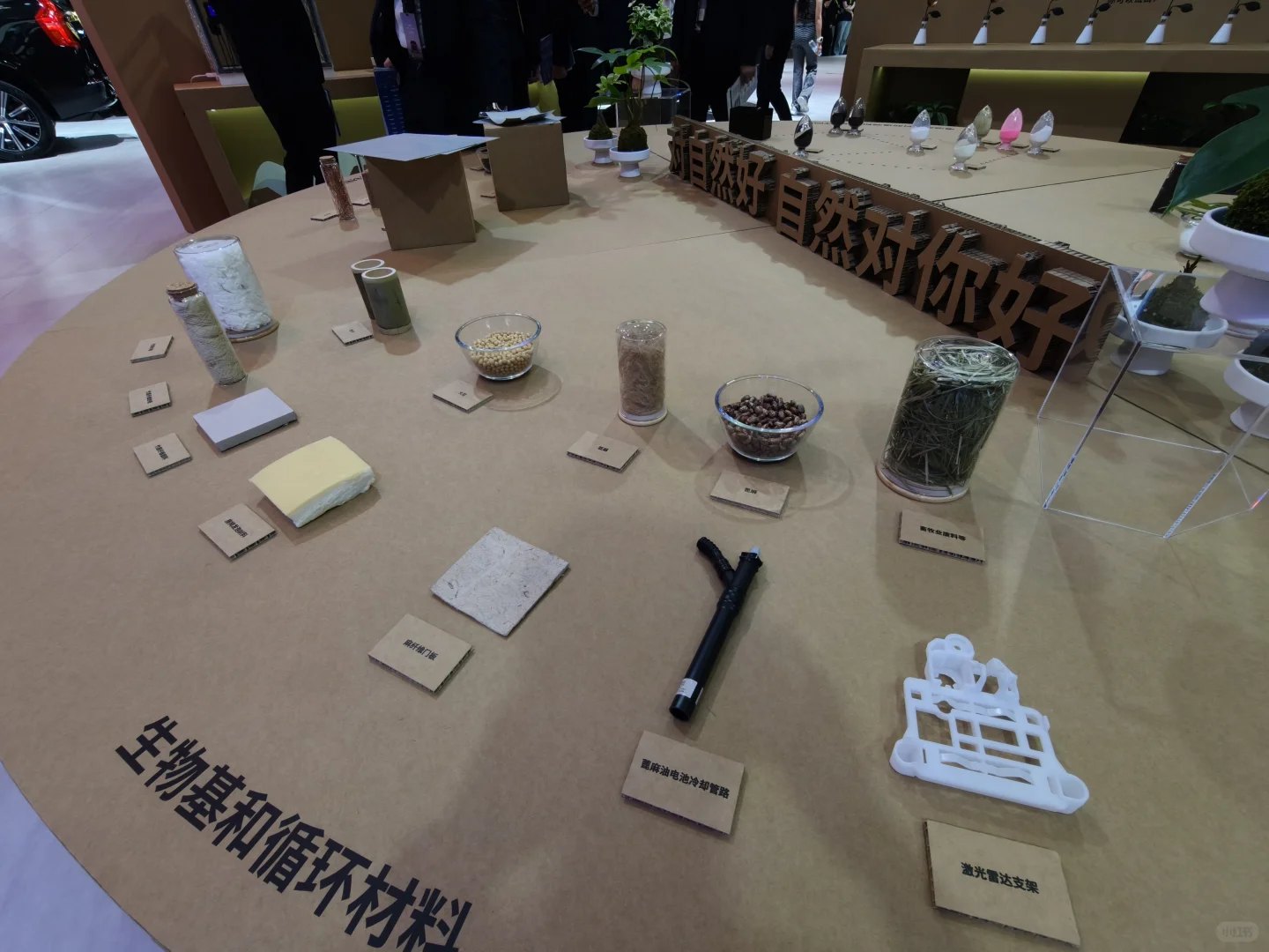 端午佳节，科技与自然的和谐共生