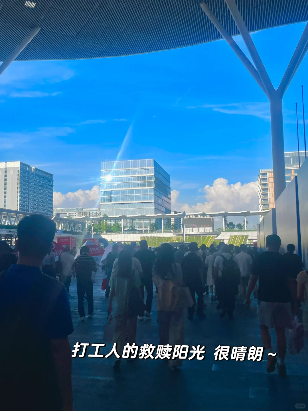 CIBF丨2025深圳国际电池展翻译