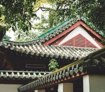 ?【探店】广州琶洲会展旁的静谧小窝✨