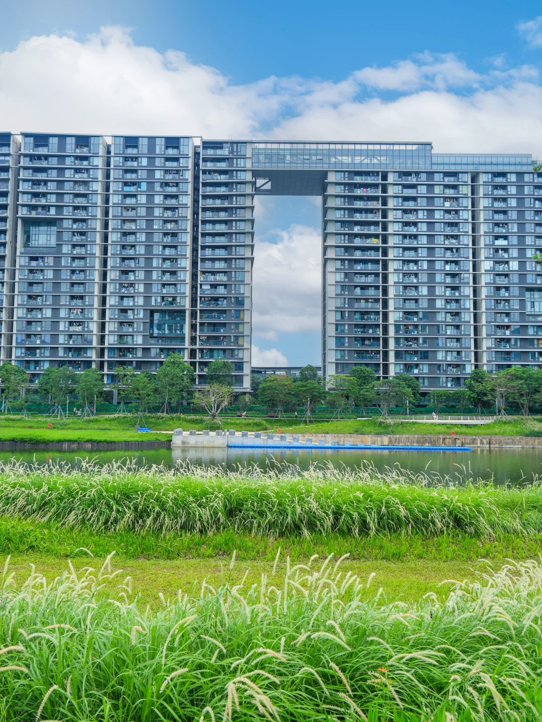 在深圳❗️一个被严重低估的小众公园⛲️
