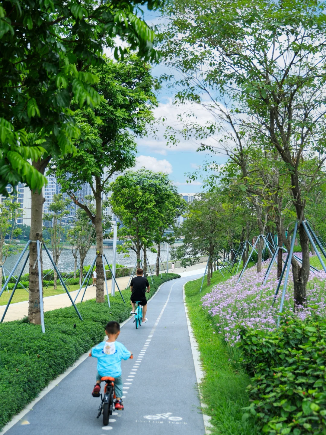 在深圳❗️一个被严重低估的小众公园⛲️