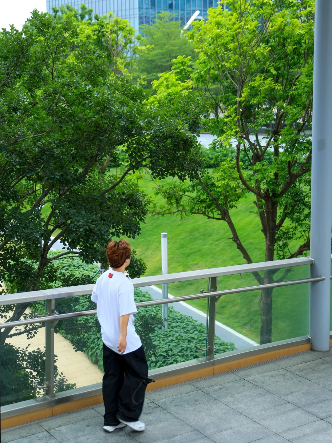 在深圳❗️一个被严重低估的小众公园⛲️