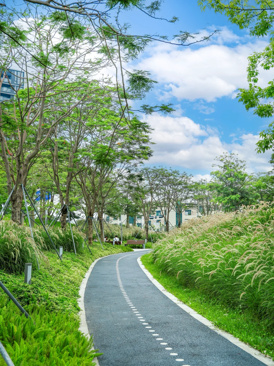 在深圳❗️一个被严重低估的小众公园⛲️
