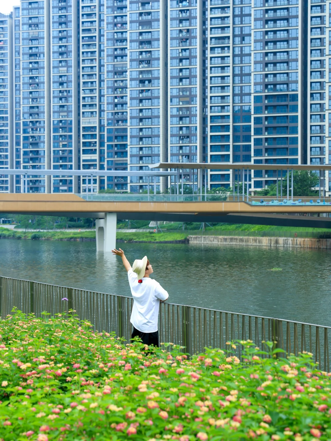在深圳❗️一个被严重低估的小众公园⛲️