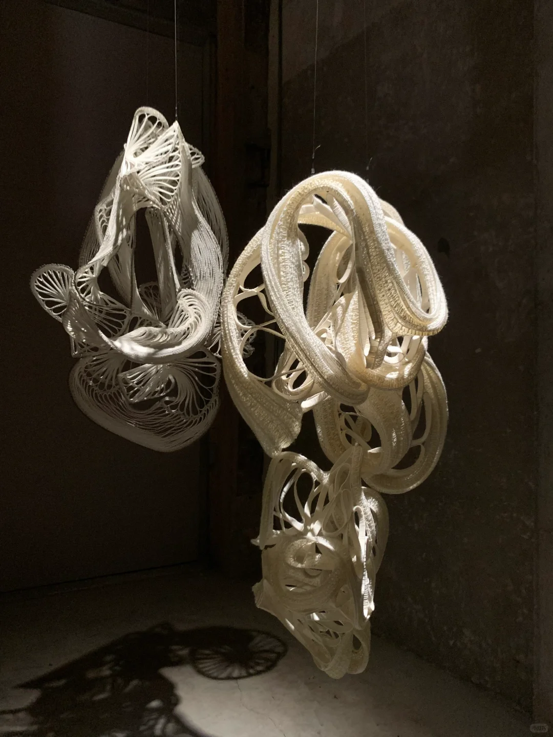 上海好看的展都是免费的!!外滩7展连看??