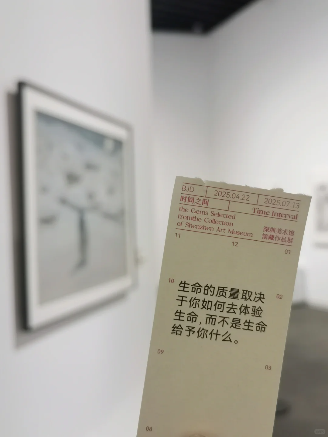 深圳又有免费新展了｜一次打卡6个展览