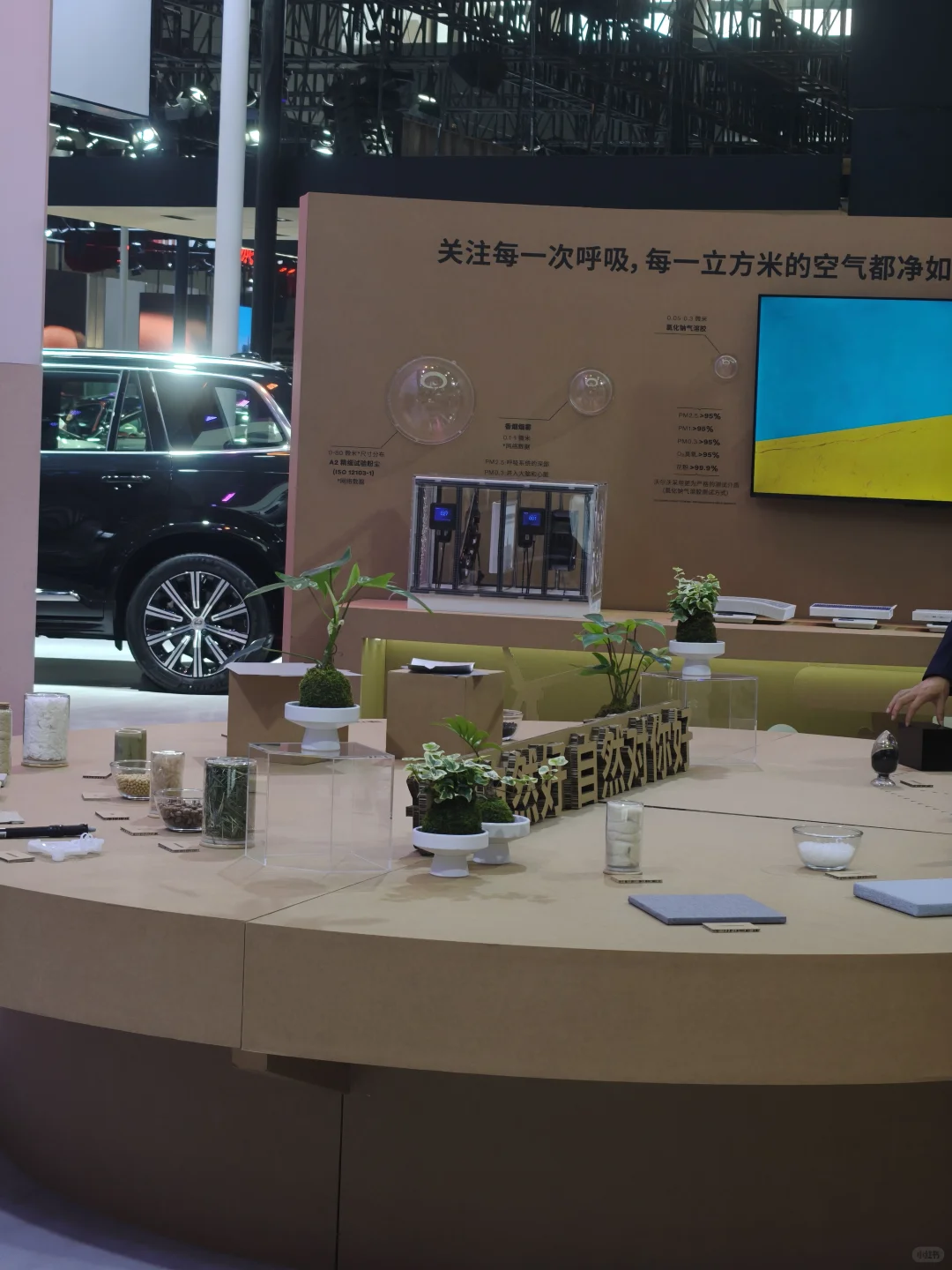 端午佳节，科技与自然的和谐共生