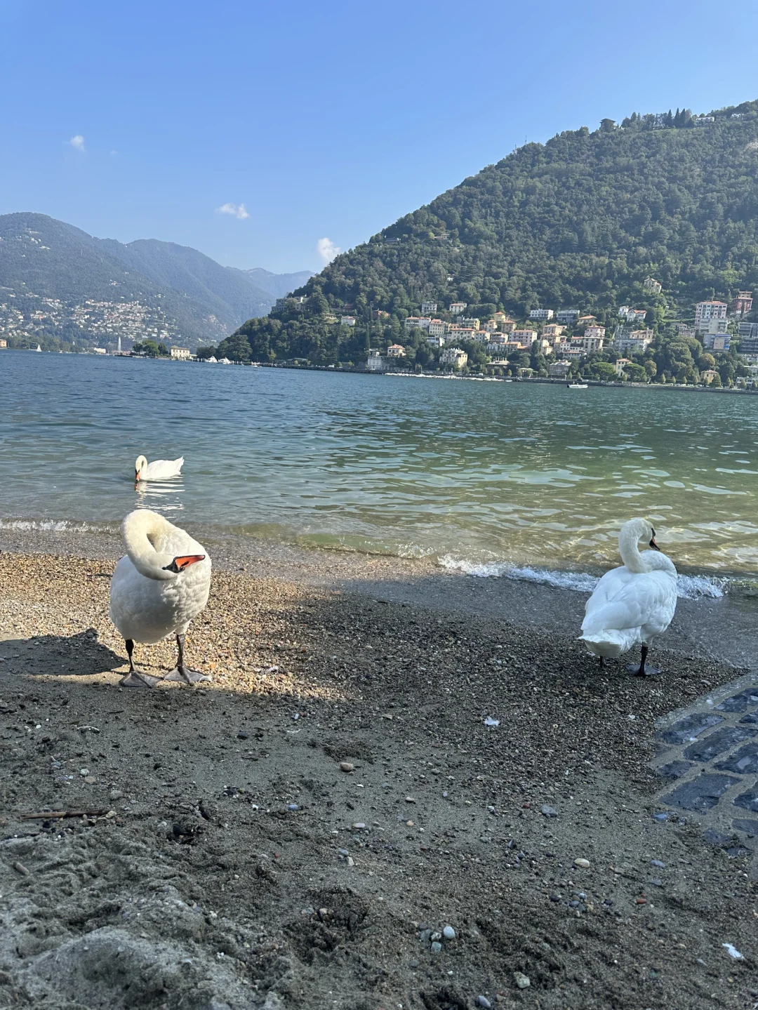 2025年9月16-19日意大利玻璃展