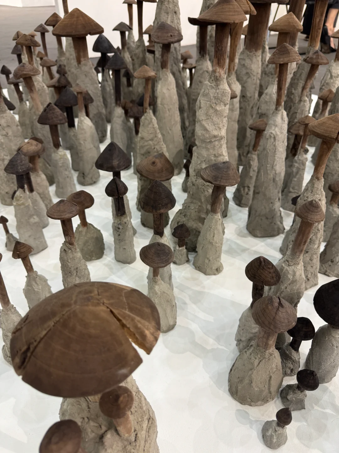 BJ. Art Fair 北京当代艺术博览会??️