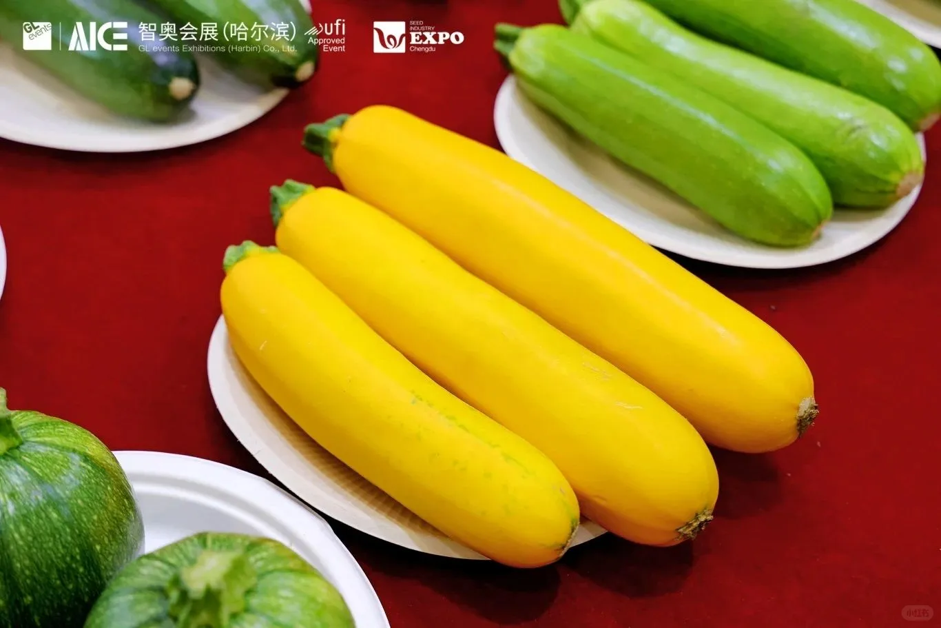 成都种业博览会圆满收官！