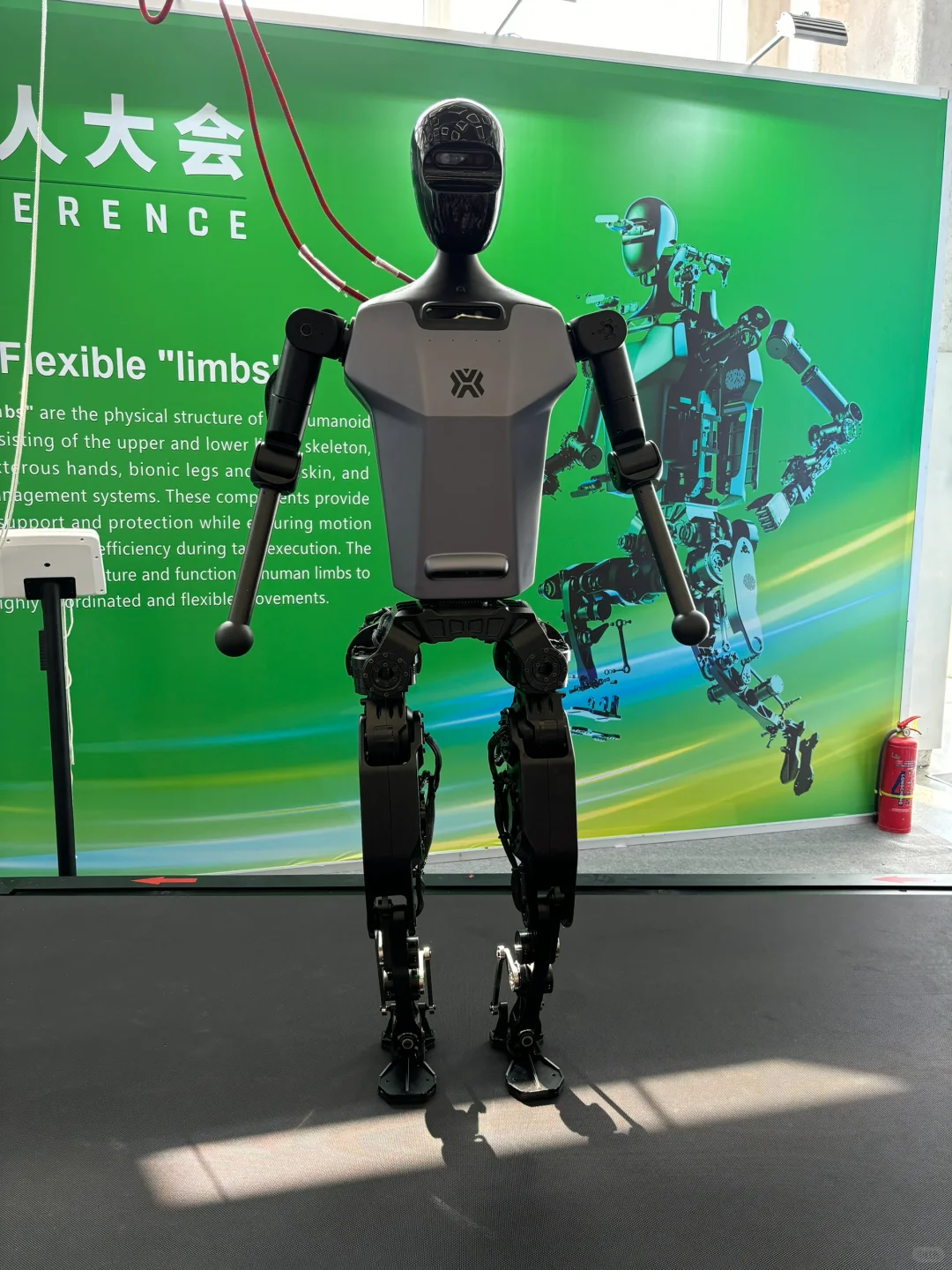 北京亦庄世界机器人博览会