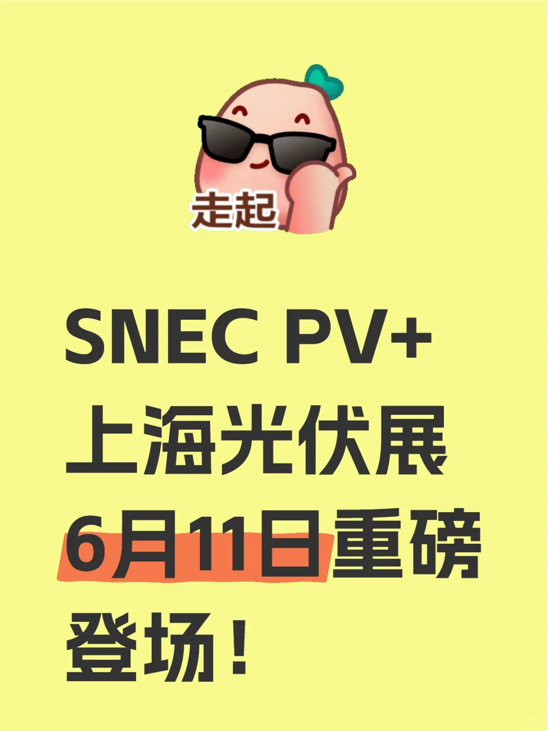 SNEC上海光伏储能展6月11日重磅登场