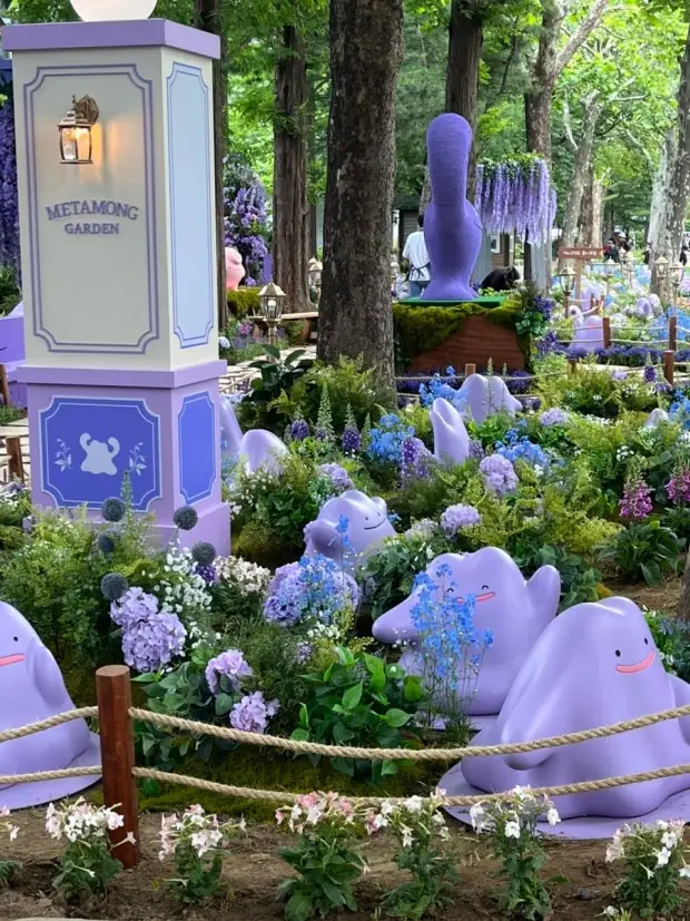 ??首尔的治愈庭院和百变怪们