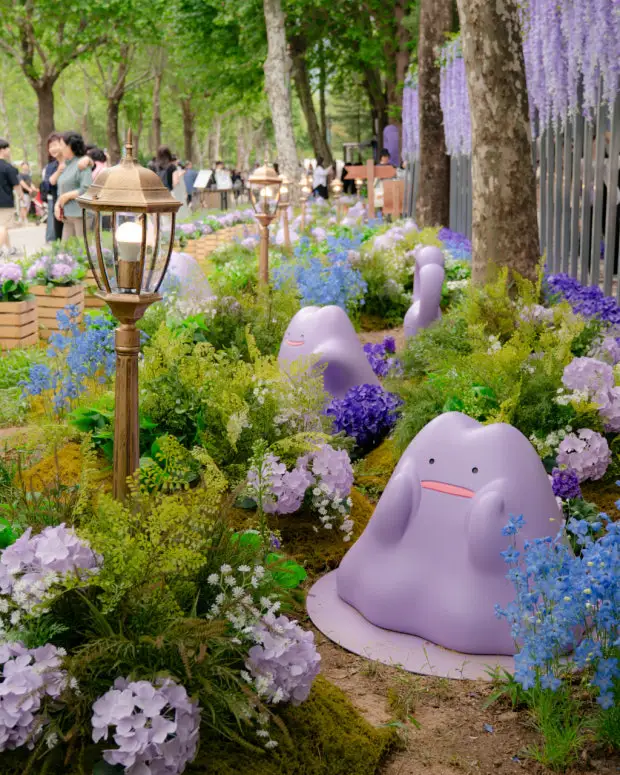 ??首尔的治愈庭院和百变怪们