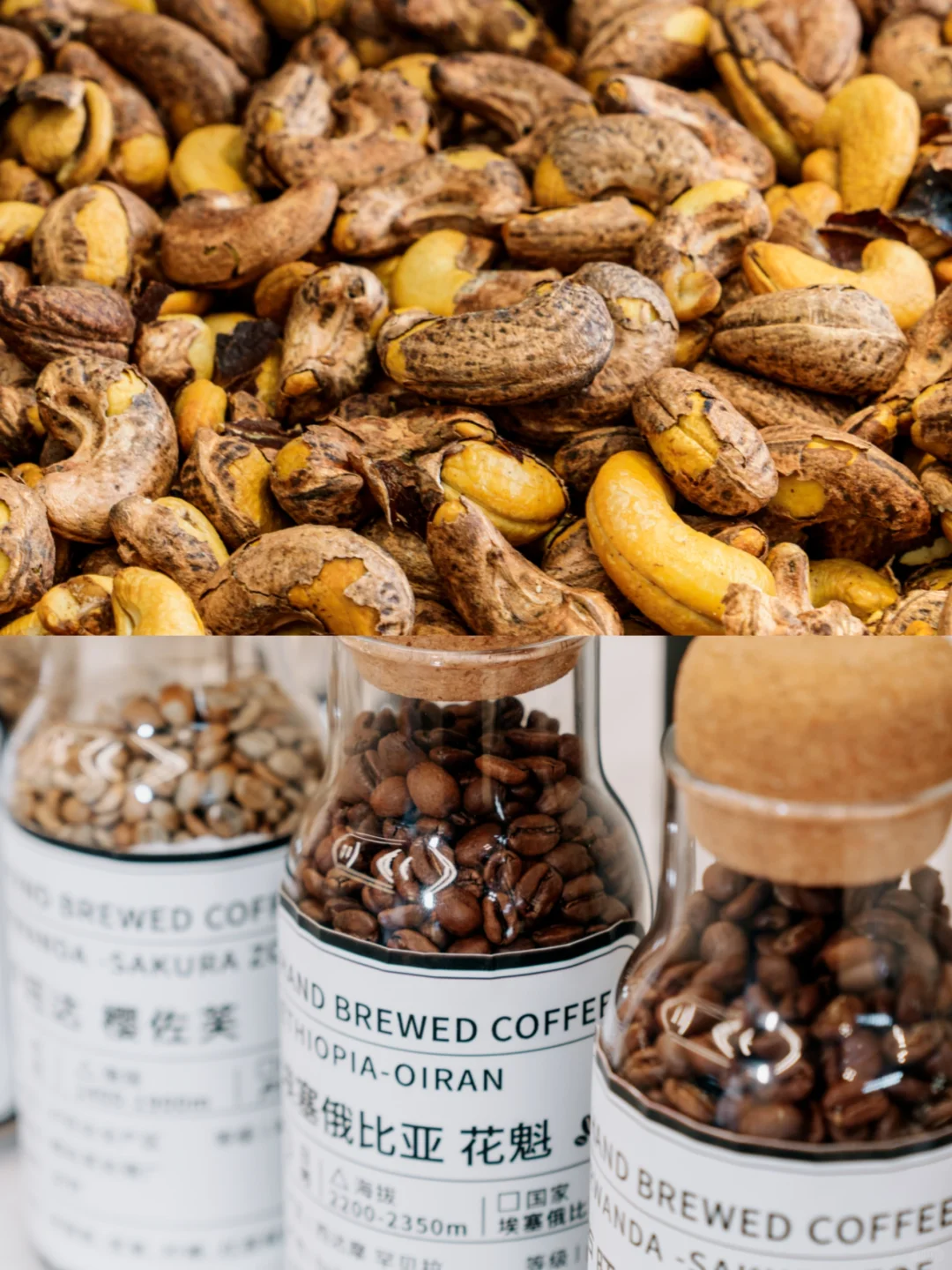 长沙硬核0元遛娃!中国-非洲经贸博览会!