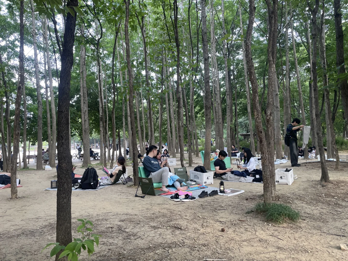 ??首尔的治愈庭院和百变怪们