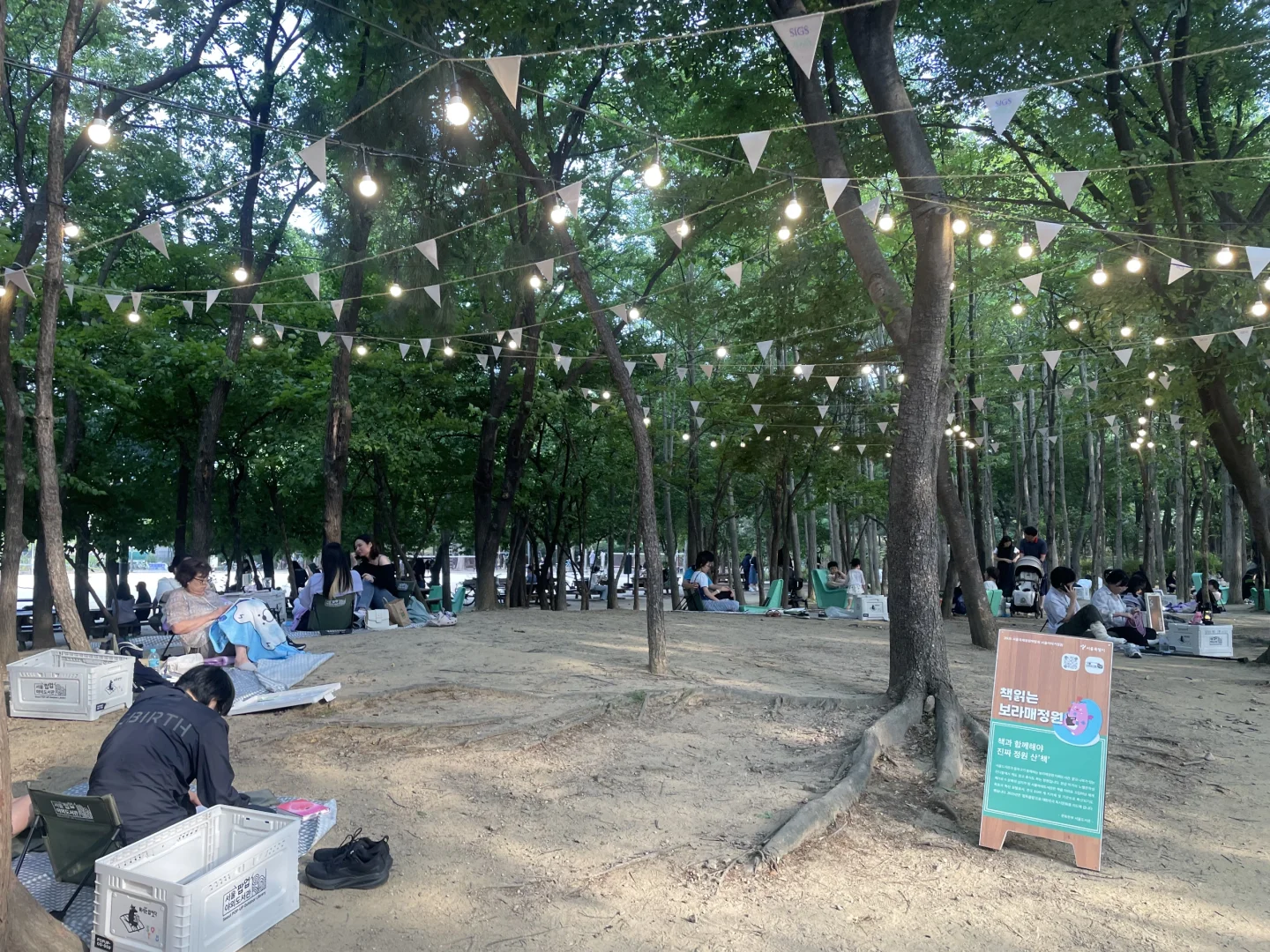 ??首尔的治愈庭院和百变怪们