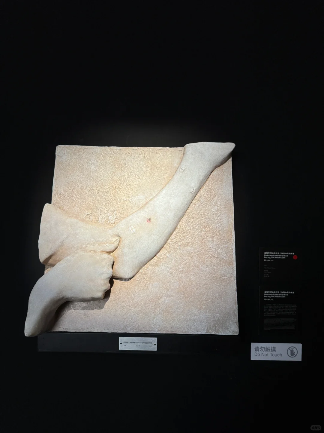 BJ. Art Fair 北京当代艺术博览会??️