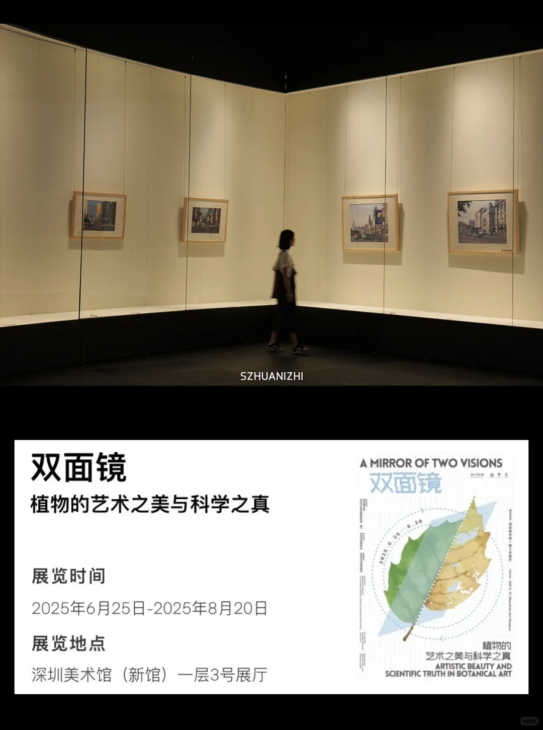 深圳看展天花板上新,一次性逛11个展免费