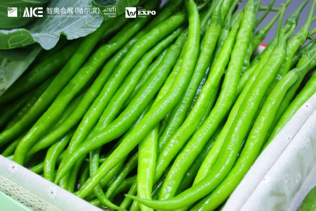 成都种业博览会圆满收官！