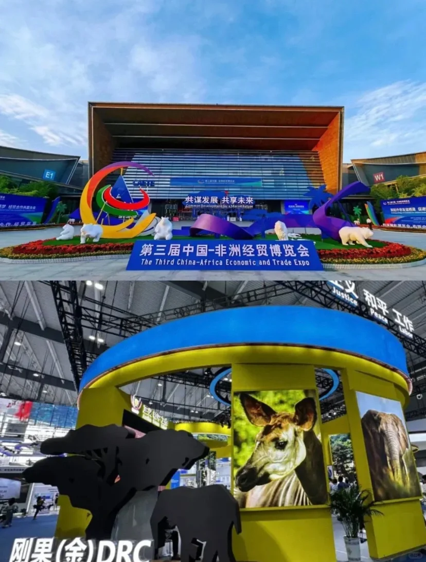 有没有6.15周日去中非博览会的小伙伴